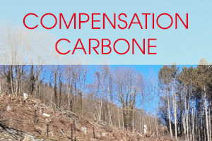 compensation-carbone-2